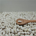 Yunnan grand haricot blanc (LWKB) 45/55/65/85 / 120pcs / 100g haricot blanc pour la conserverie